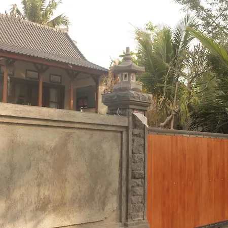 Ancut Sari villa