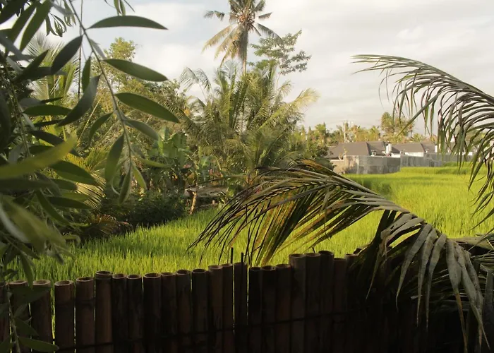 Ancut Sari * Ubud